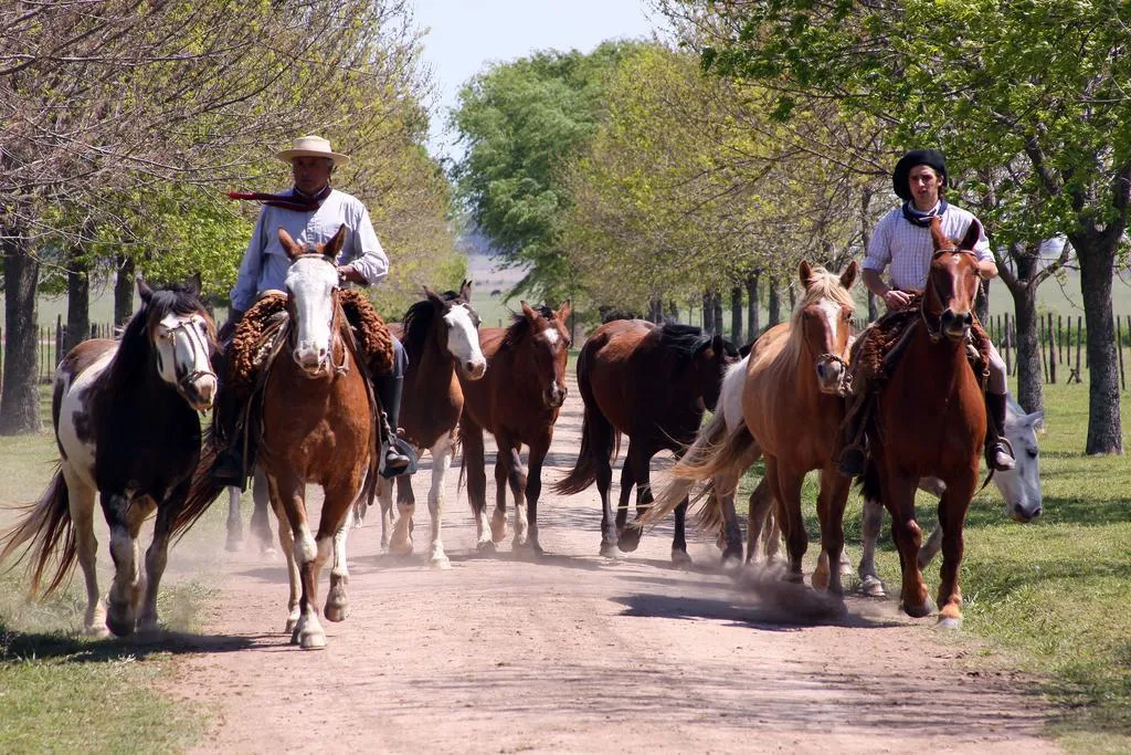 Gaucho Tour - slide 1